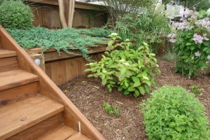 Outer Banks Landscaping